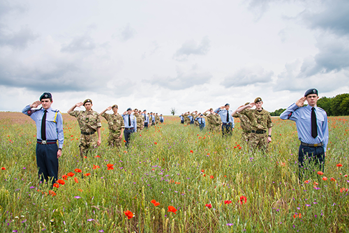 The Woodland Trust