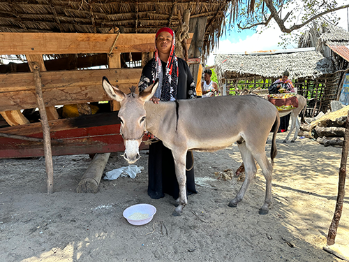 Lamu Village - Kenya - Credit Faith Burden TDS