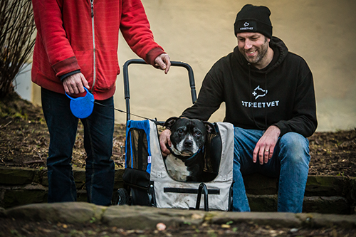 StreetVet